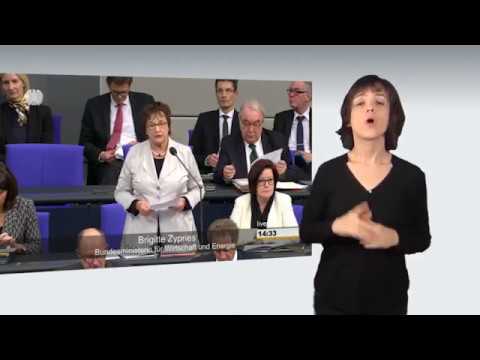 Gebärdensprachvideo: Befragung der Bundesregierung