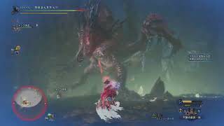 【MHWIB】ムフェトジーヴァ尻尾以外全部位破壊ソロ討伐 15′14″68【ライトボウガン版】