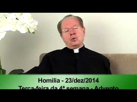 (O Pão Nosso) 23 Dezembro 2014 -  Homilía  Pe.F.C.Cardoso.