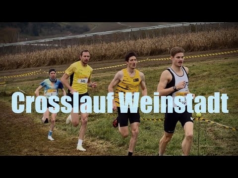 Crosslauf Weinstadt 2025