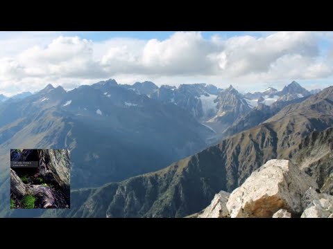 Translippers - Continuity [FULL ALBUM / Nature Video] Ambient Chill Out