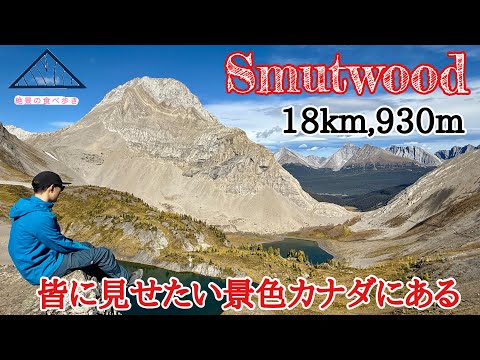 シルブレッタについて詳しく解説