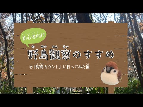 タゲリのカウントに参加しましょう!