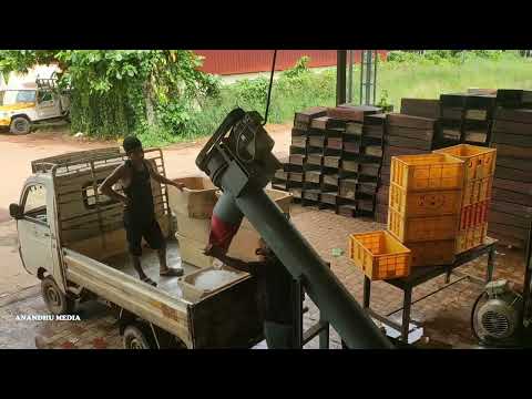 Biggest " ice " factory of KOTTAYAM കോട്ടയത്തെ ഐസ് ഫാക്ടറി, ice നിർമ്മാണം 🌊How to make heavy ice