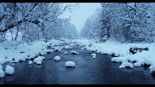 Johann Pachelbel - Canon in D Major, P 37 - Jean François Paillard