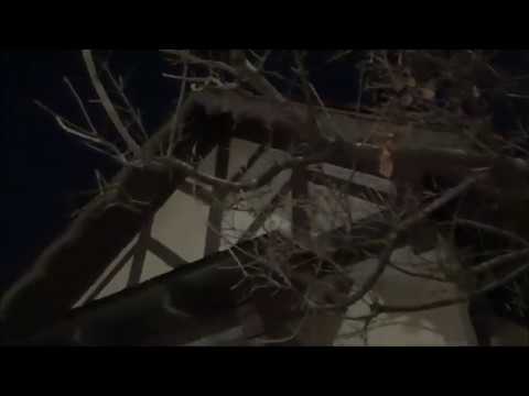 Charlie Chaplin Studio At Night