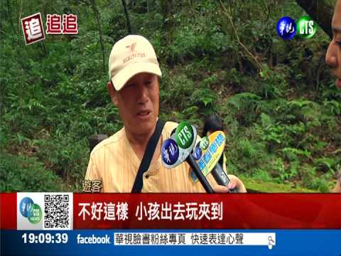 陽明山驚見3腳怪狗? 捕獸夾害的!