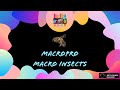MacroPro S Honeybee Animation