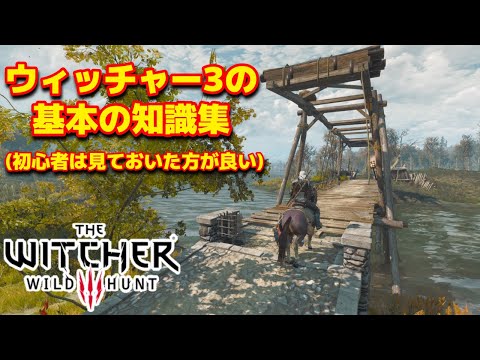 「ウィッチャー 3」マップの説明: これが王国を巡る方法です