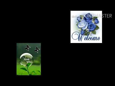 Dil to pagal hai video