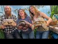 Thea & Lori & lots of Tortoises & 3 baby 🐿️’s LIVE ! 🐢🐢🐢❤️