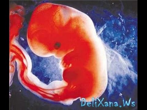 Rivaldo acting fail   World Cup 2002 Oscar winning performance