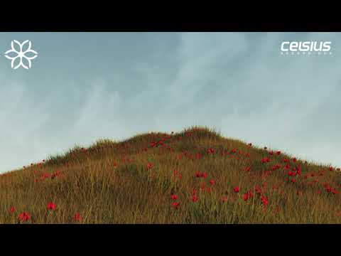 Henry - Over Your Shoulder