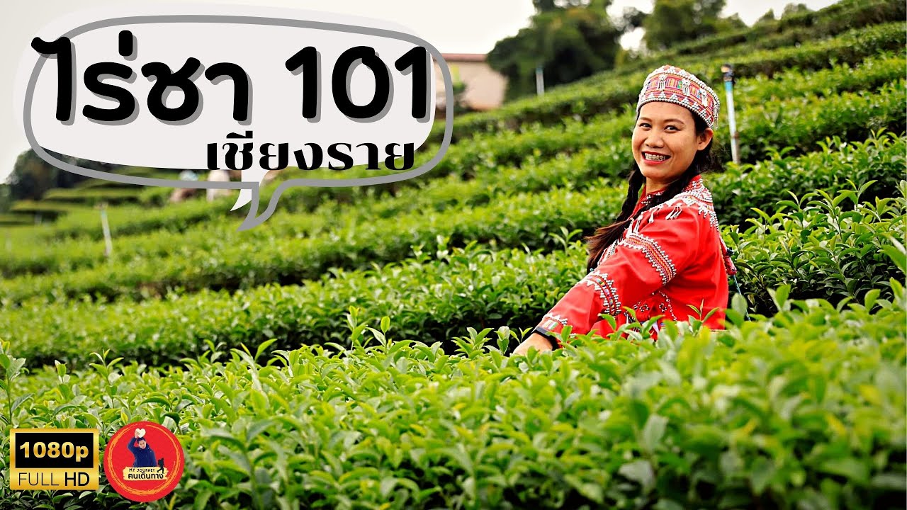 101 Tea Plantation