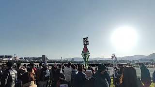 小倉競馬場の馬場開放で残り100m付近からゆっくり歩いてみた