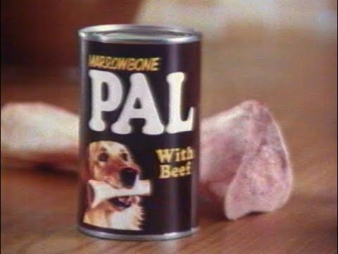 Wednesday 2nd September 1981 ITV Southern