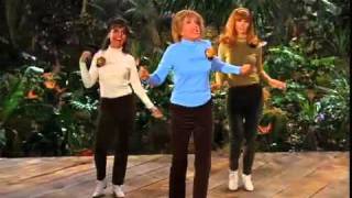 Gilligan's Island - The Honey Bees
