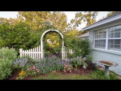 Sunday Morning Butterfly Garden Tour Zone 9a