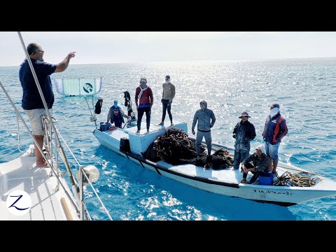 Here’s WHAT REALLY HAPPENED in Egypt (never-before-seen footage) Ep 233