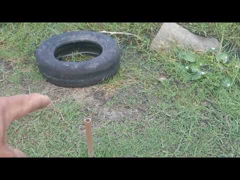 LAGOA DE APORA BAHIA 🐟 🐟 🐟 