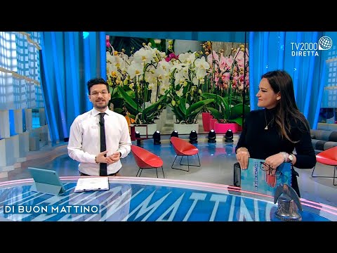 Di Buon Mattino - puntata dell'8 febbraio 2022