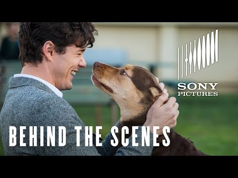 A Dog's Way Home (TV Spot 'Finding Bella')