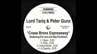 Lord Tariq &amp; Peter Gunz - Cross Bronx Expressway (Acapella)