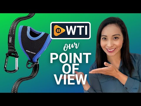 EzyDog dog leash - WTI product video review