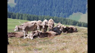 Être mal à l'aise socialement Partie 1