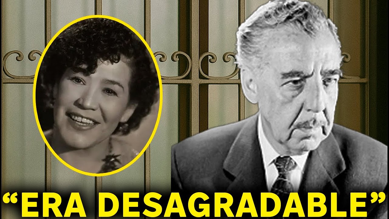 YouTube Thumbnail Downloader FULL HQ IMAGE