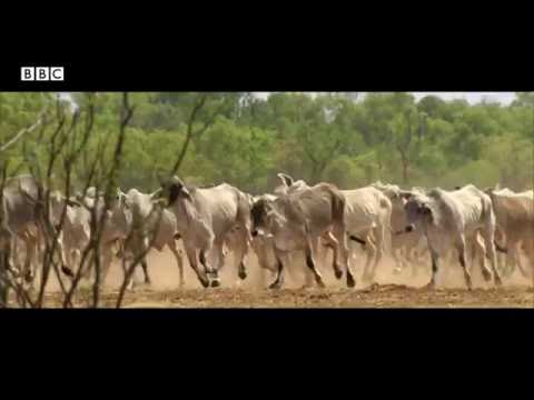 TG.com vid - CHM Talk About the Australian Roadtrip