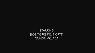 Camisa mojada. Los tigres del norte