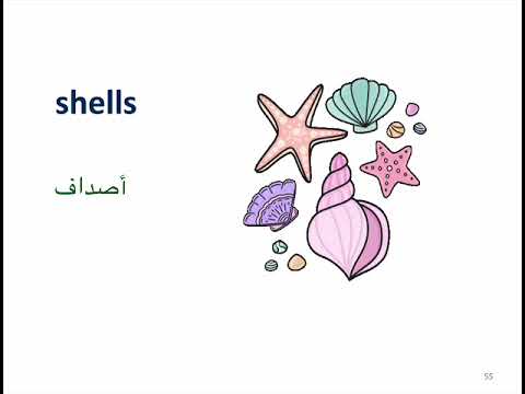 طريقة مسلية لحفظ المفردات المطلوبة مع الترجمة والصور
