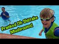 PUSHED INTO THE POOL A Visit From The Oh Shiitake Mushroom Family