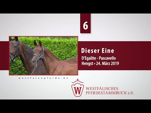 06 Dieser Eine  Hengst v. D'Egalite - Pascavello