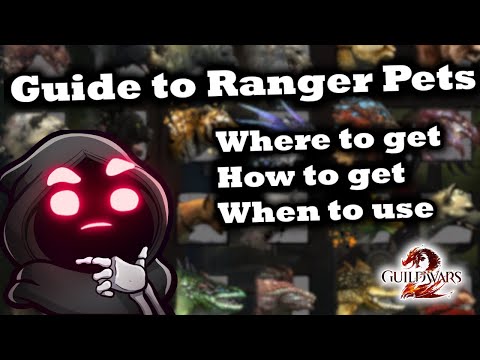 Guide to Ranger Pets - Where to Get, How to Get, and When to Use Them - Guild Wars 2