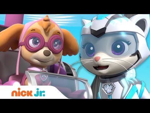 PAW Patrol & Cat Pack Rescue a Construction Worker! w/ Skye & Rory | Nick Jr.