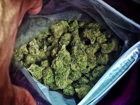 ENSY f.Splendata-пАстърва