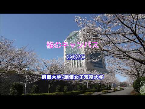 創価大学・創価女子短期大学　桜のキャンパス2020公開