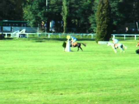 Horse racing in Pardubice 1