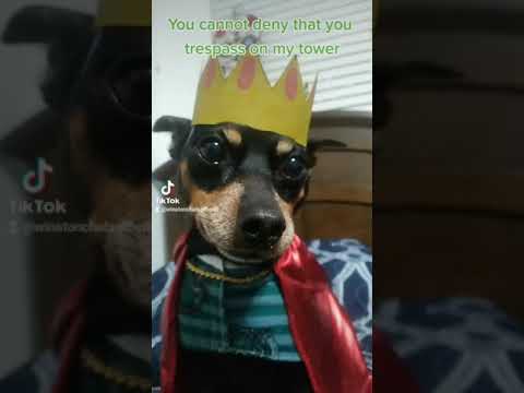 You cannot deny... 😂