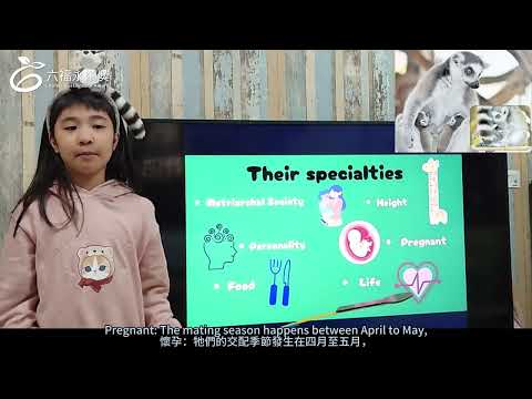 國小中年級英文組 潛力獎 -2025六福永續獎: 最佳人氣影片