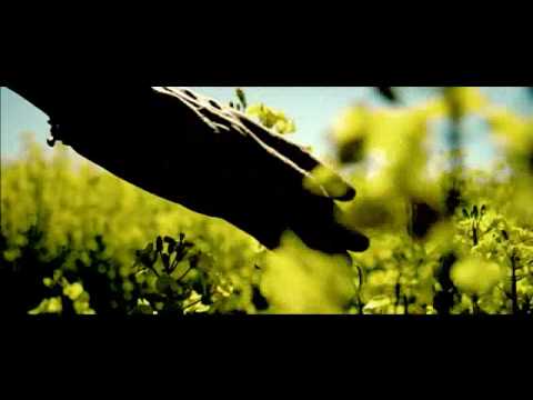 Brinck "Believe Again"