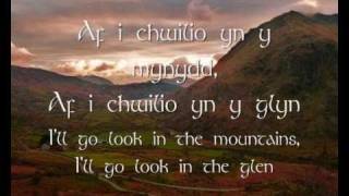 Mae Hiraeth yn Fy Nghalon - Dafydd Iwan (geiriau / lyrics)