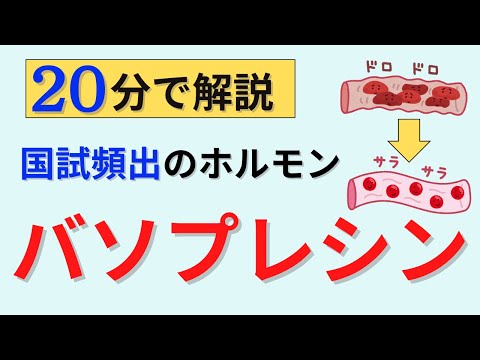 バソプレシンについて詳しく解説