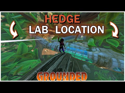 GROUNDED: HOW TO GET TO THE HEDGE LAB