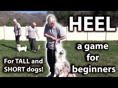 What is Clicker Training