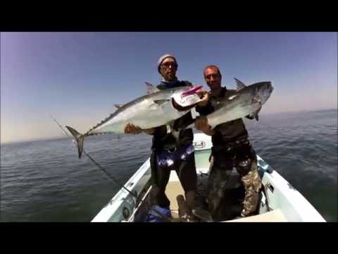 alletterati a go! go! maggio 2016