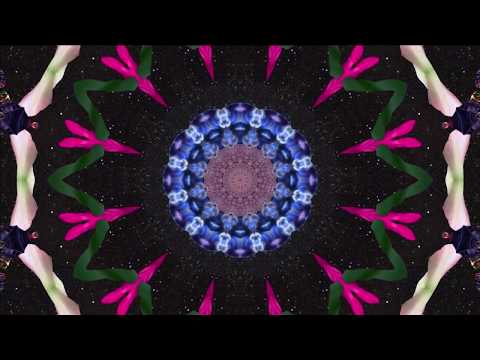 download lagu mp3 mp4 Kaleidoscope License, download lagu Kaleidoscope License gratis, unduh video klip Kaleidoscope License