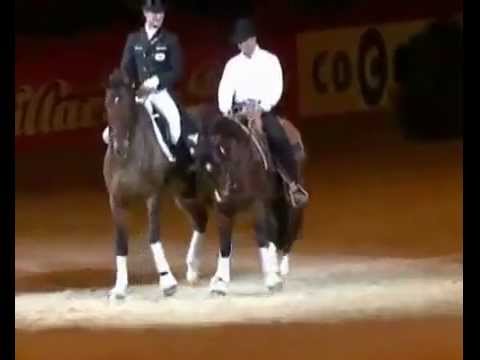 Looking at Western Dressage & English Dressage